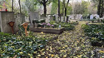 Februárban majdnem kétszer annyian hunytak el, mint ahányan születtek