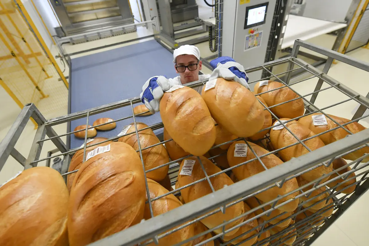 Már drágább Magyarországon a kenyér, mint az uniós átlag, az agrárminiszter "tehetetlen"