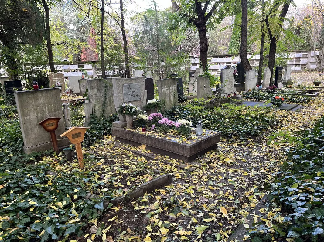 Tovább gyorsult a népességfogyás