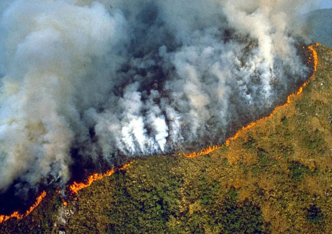 Elkezdődött az amazonasi tűzoltás, a világ vezetőit a helyszínre várják