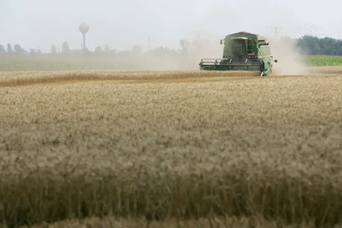 Beérett a gazdák kitartó tiltakozása: lemond a holland agrárminiszter