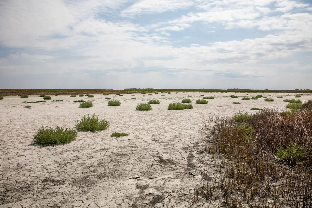 Kegyetlen szárazság sújtja az alföldi területeket, 400 milliárd forint veszett kárba
