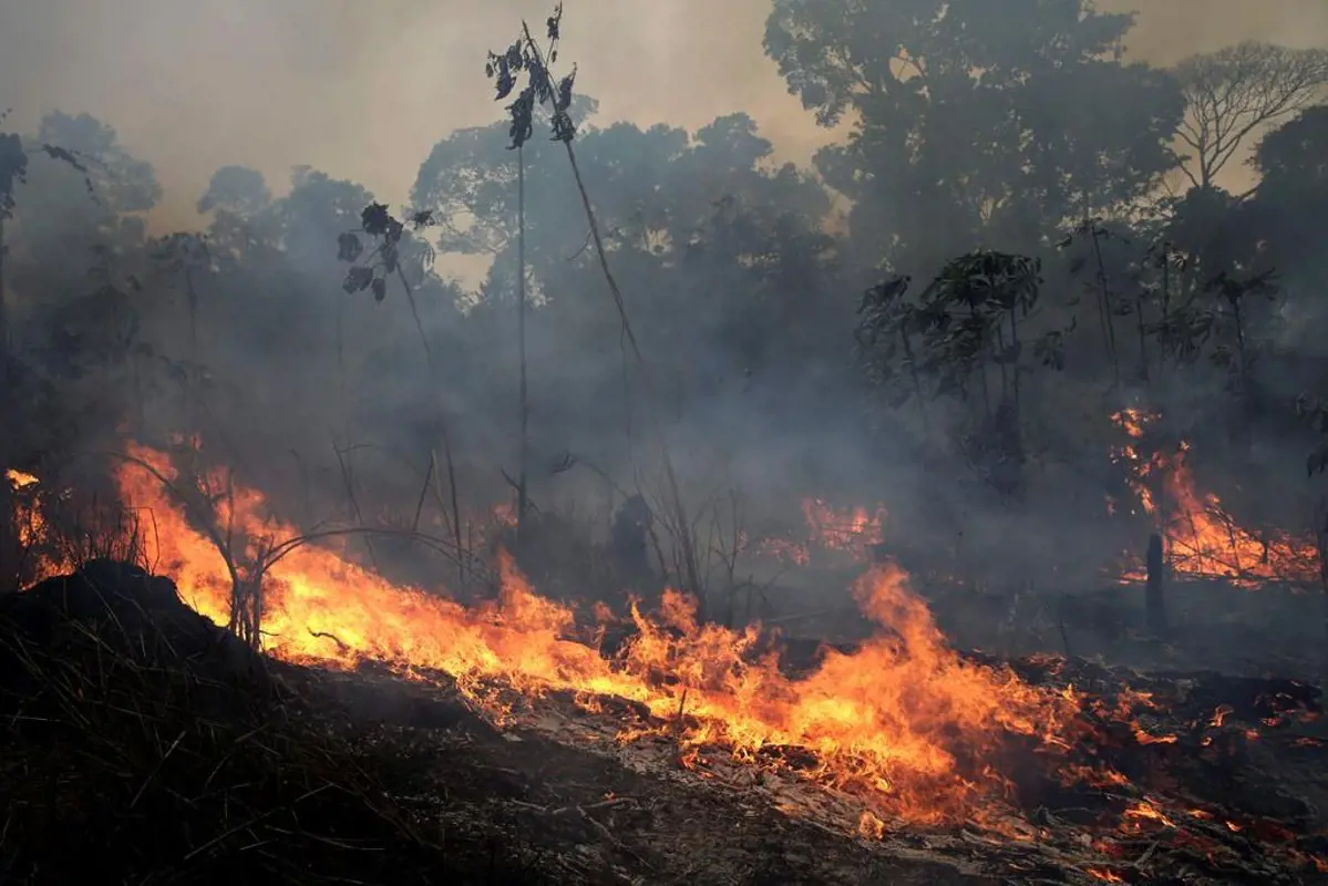 Bolíviában is erdőtüzek pusztítanak