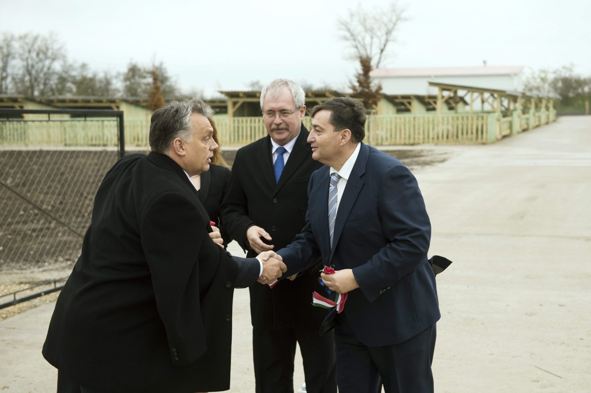 Mészáros Orbánról: Napokig tudnánk beszélni sportról, futballról, közös gyermekünkről