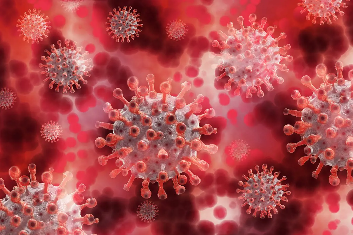 Megjelent a koronavírus új variánsa Finnországban is