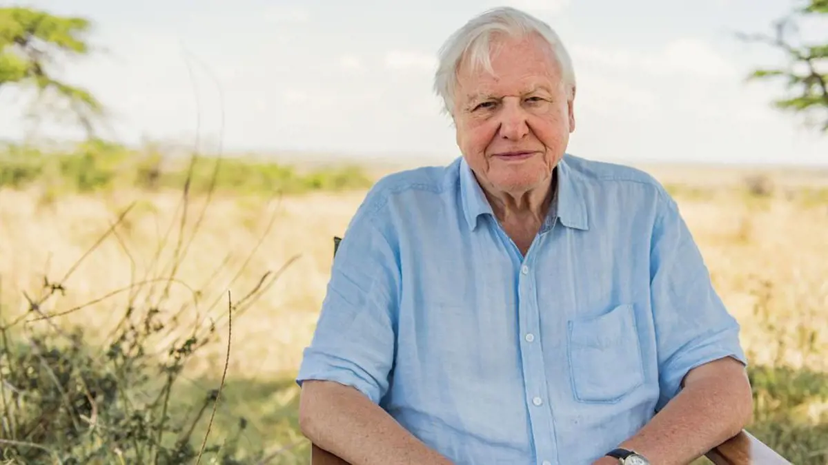 Attenborough madarakat hallgatott a karantén alatt