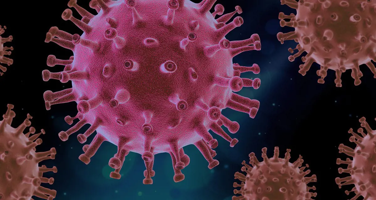 Egy új koronavírus-variánst fedeztek fel Dél-Afrikában