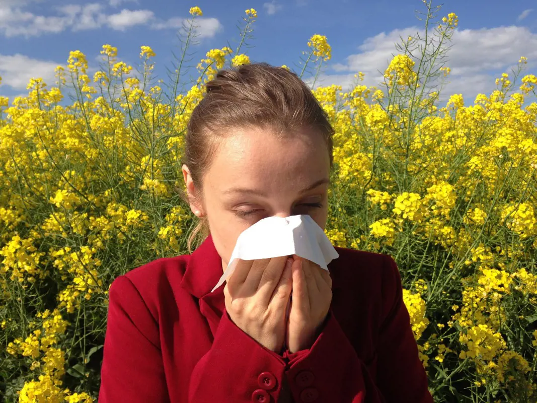 Nemzeti Népegészségügyi Központ: erősödhetnek az allergiás tünetek