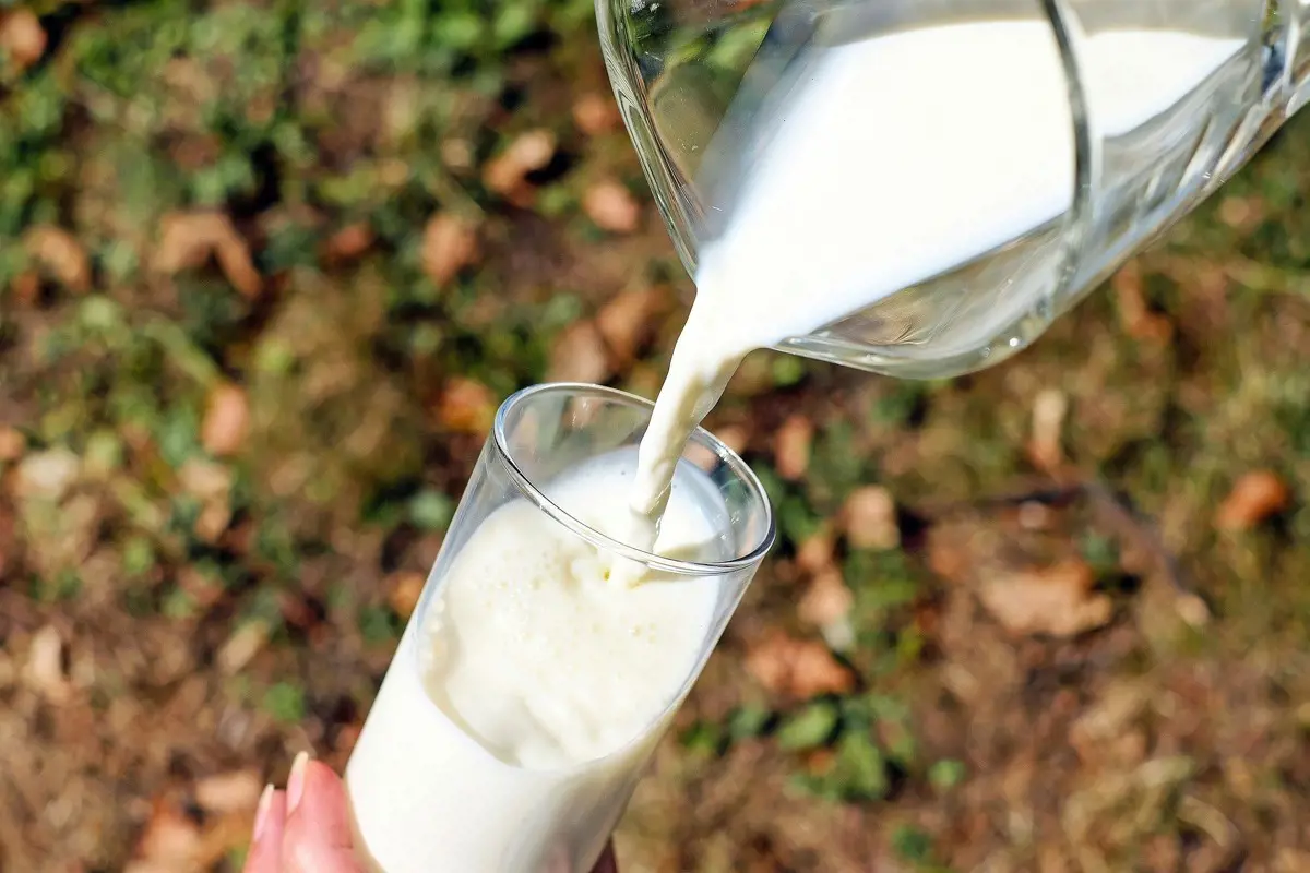Hatalmasat drágultak a tejtermékek és a szakemberek szerint ezzel még messze nincs vége az áremelkedésnek