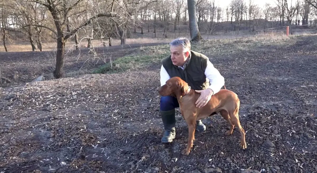 "Alfival mi már ki is töltöttük" - Orbán Viktor a kutyájával reklámozza a kormány online állatvédelmi kérdőívét