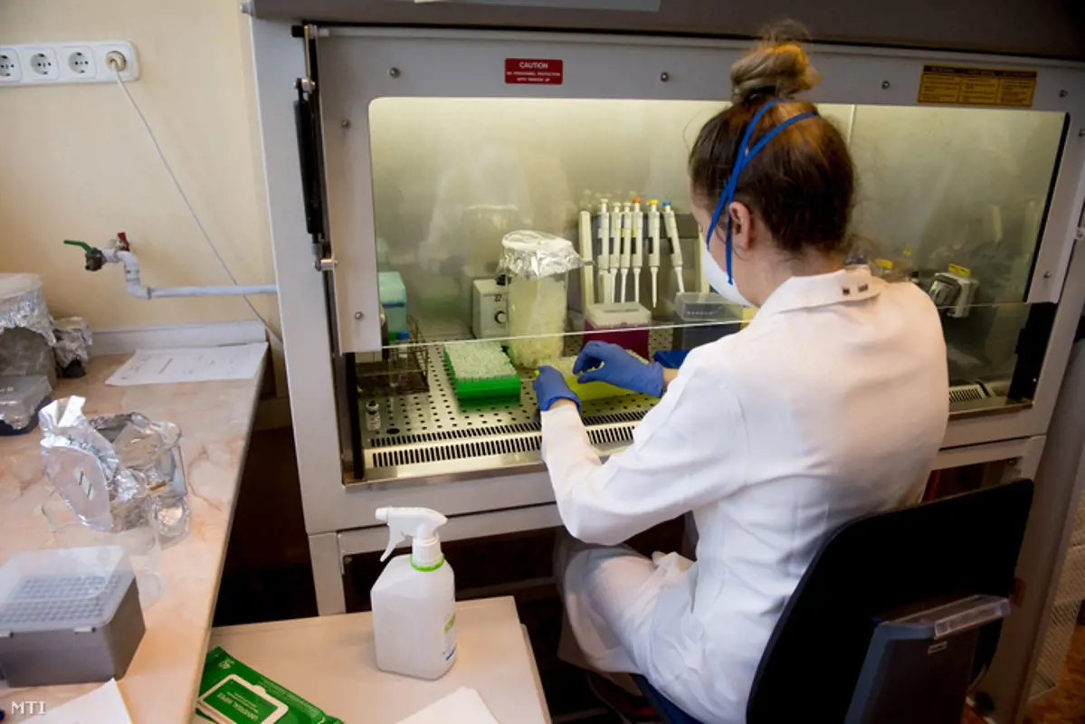Több mint 14 milliárdot különített el a kormány a PCR-tesztekre