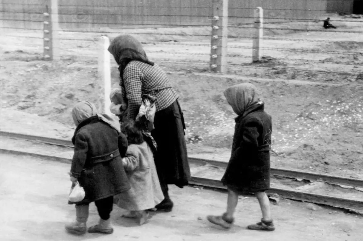Az amerikaiak közül vannak olyanok, akik azt hiszik, hogy a holokausztot a zsidók követték el