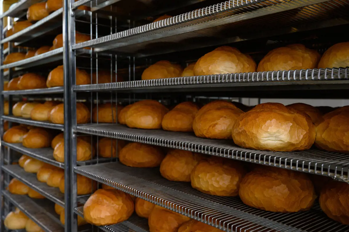 Már 400 forintba kerül egy kiló kenyér