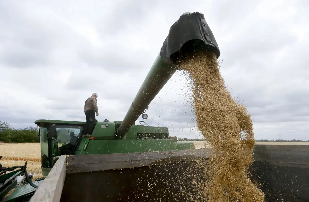 A gabona mellett szinte minden más ukrán élelmiszer behozatalát is megtiltotta a kormány június 30-ig