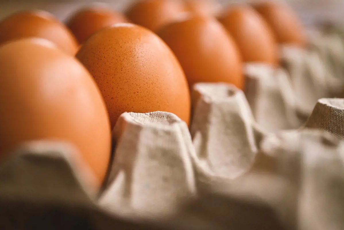 A növekvő termelési költségek miatt tíz forinttal drágul a tojás szeptembertől