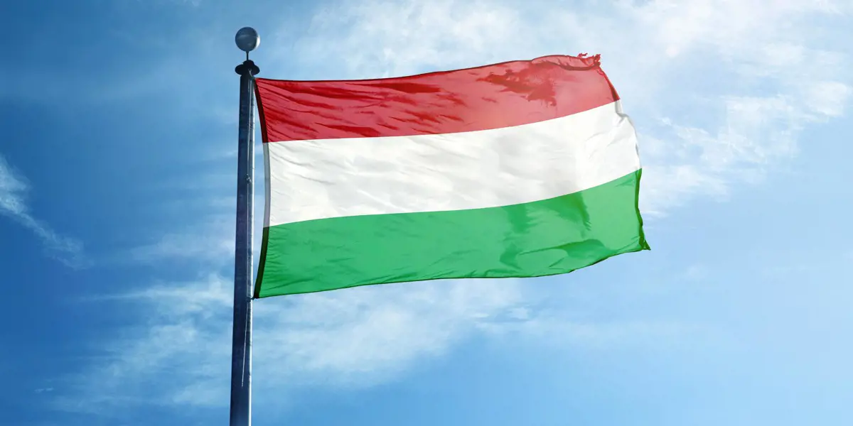 Elfogták és kihallgatták a magyar zászló meggyalázóit