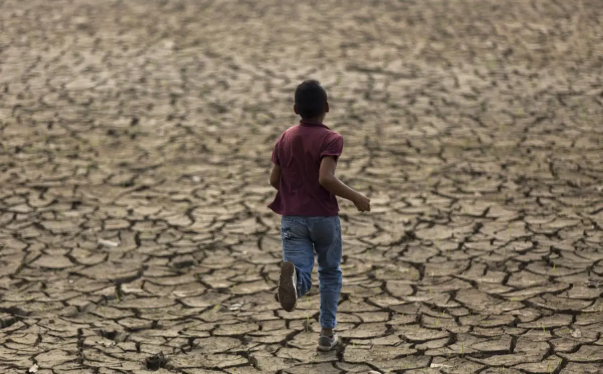 Rekordot dönthet idén a klímamenekültek száma