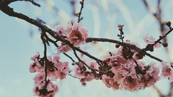 Úgy tűnik, végleg visszavonult a tél