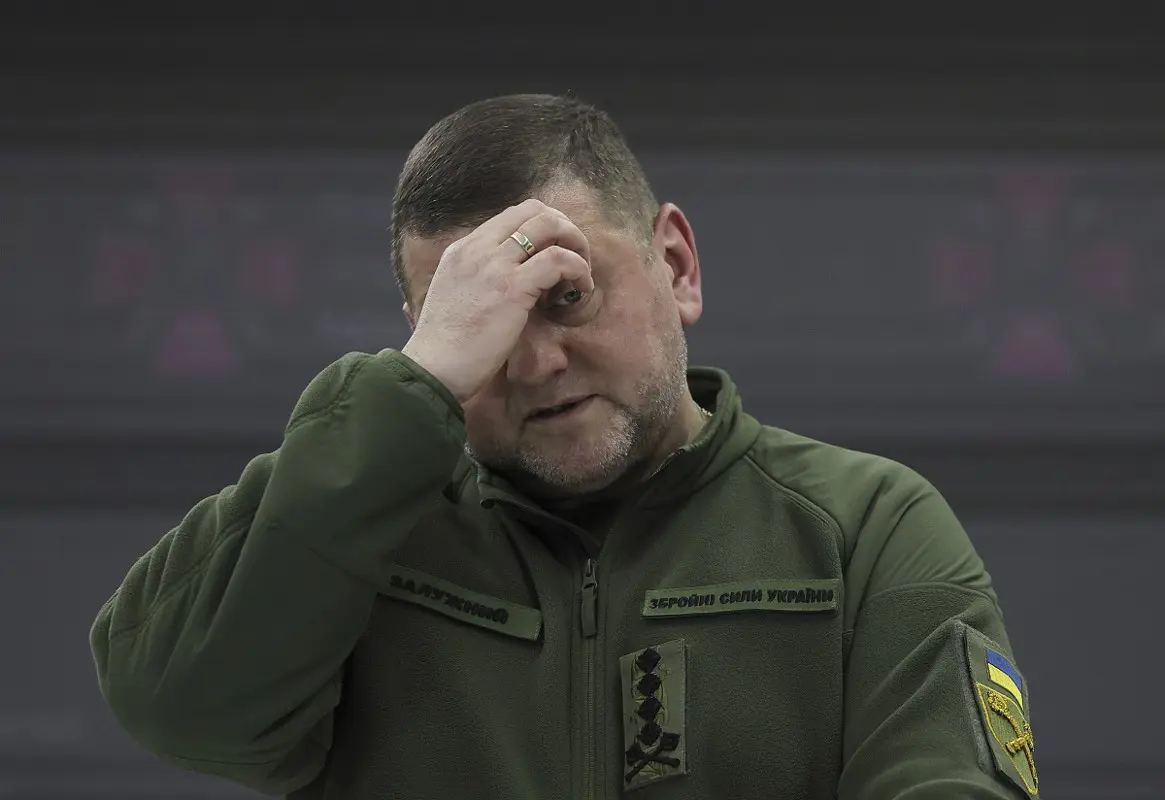 Pesszimista a háború kimenetelét illetően a korábbi ukrán főparancsnok