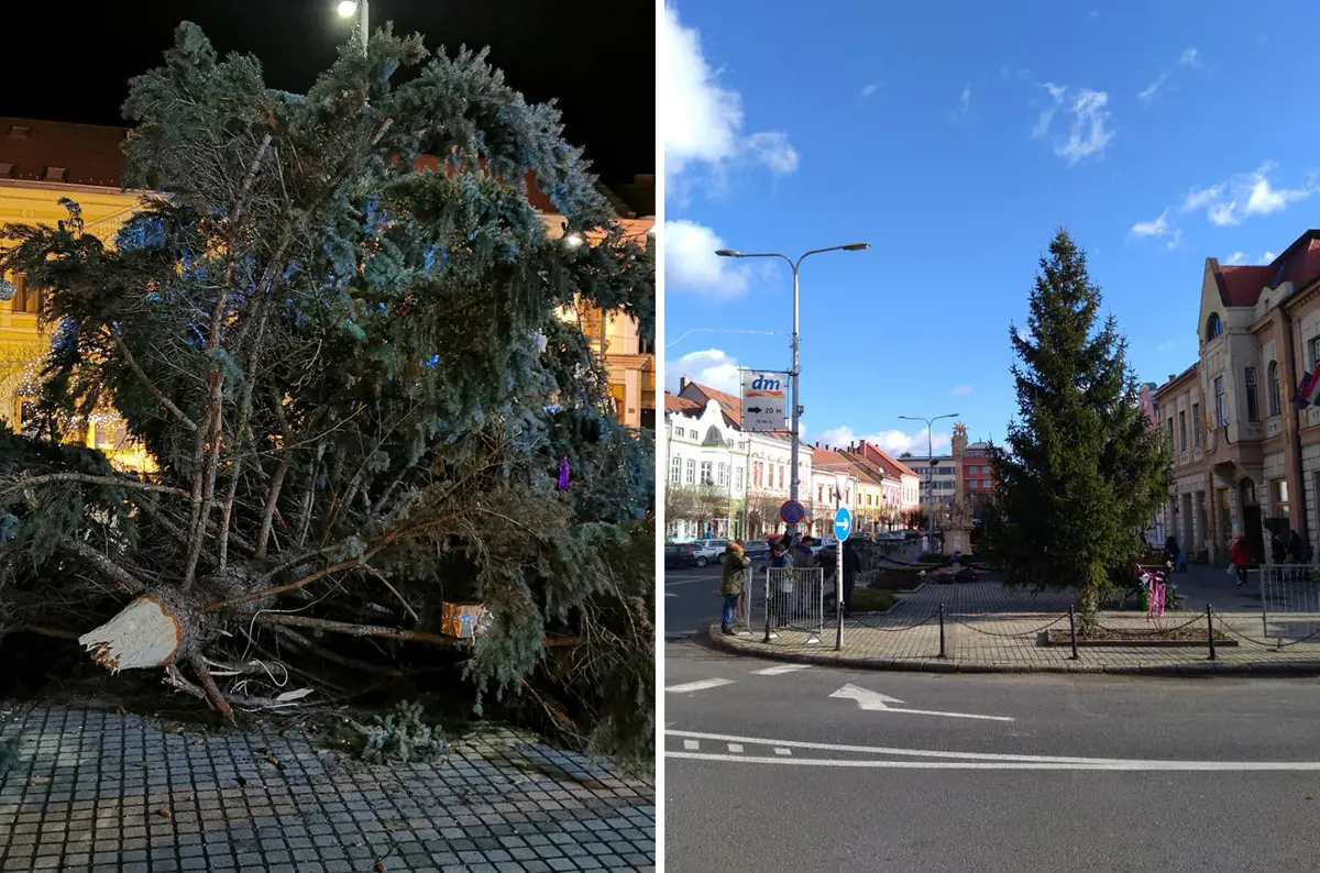 A vihar ledöntötte, a városi polgárok összefogása újra felállította a tapolcai karácsonyfát