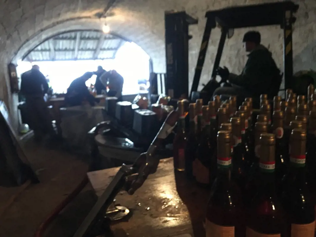 Állami borászat semmisíti meg a Tokaji borokat - exkluzív felvételek