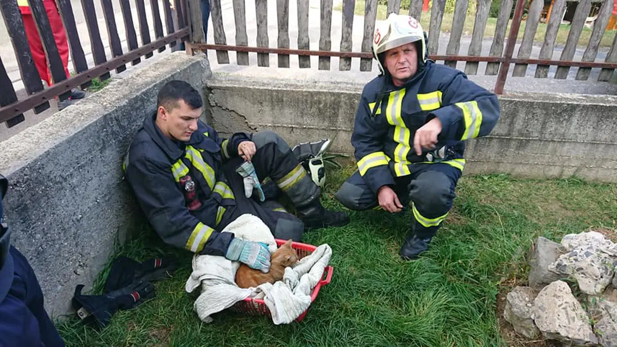 Szívmelengető fotók: életet mentettek a tűzoltók és a mentők – nem akárhogyan