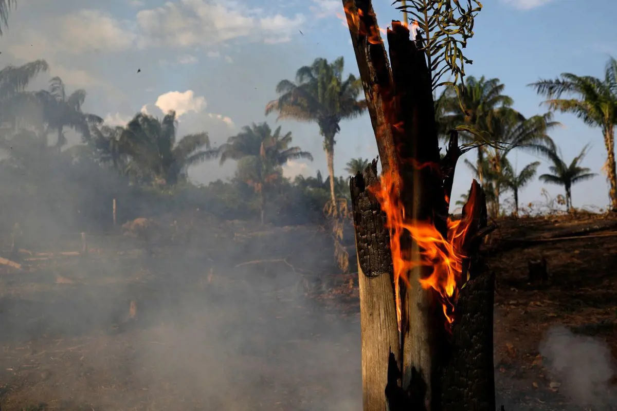 Bolsonaro szerint nincs pénze Brazíliának eloltani az erdőtüzeket