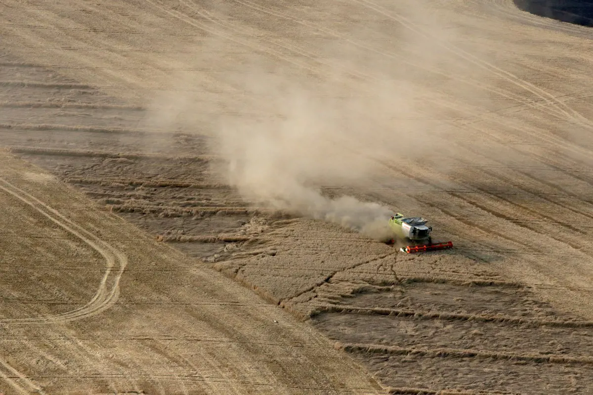 Magyarország betiltja a gabonakivitelt az országból