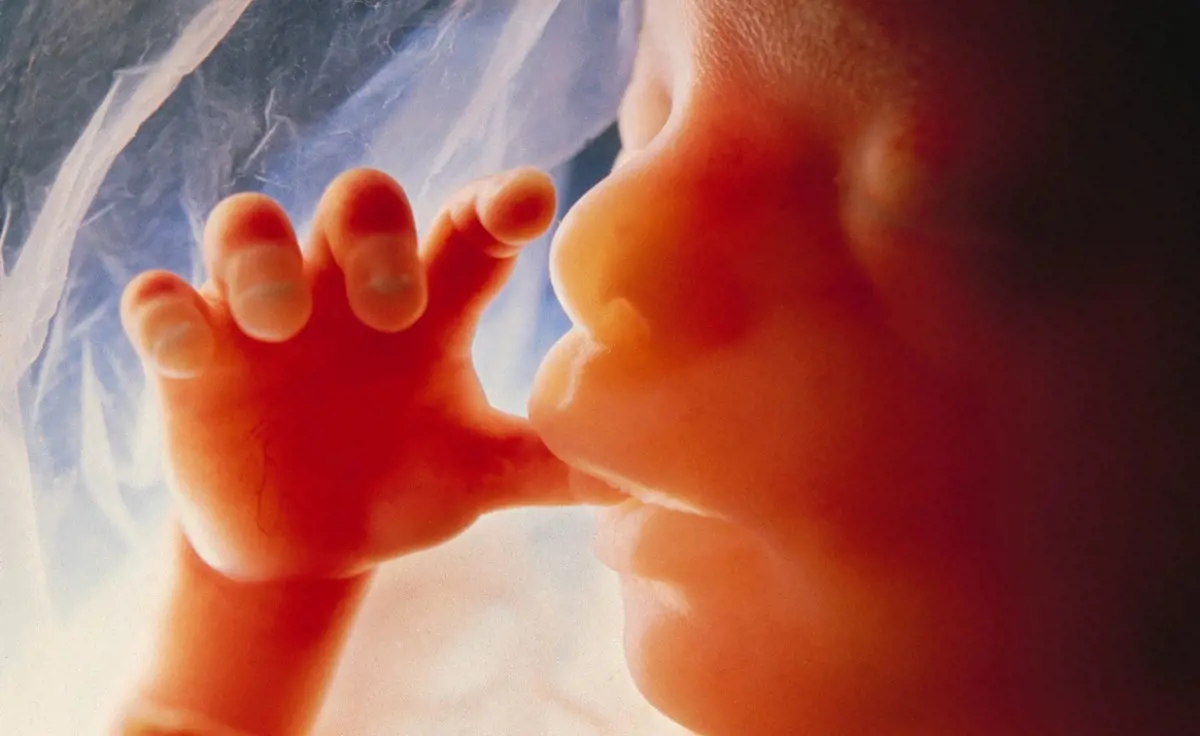 Az új törvény szerint akár hét hónapos magzatok is abortálhatók lesznek Észak-Írországban