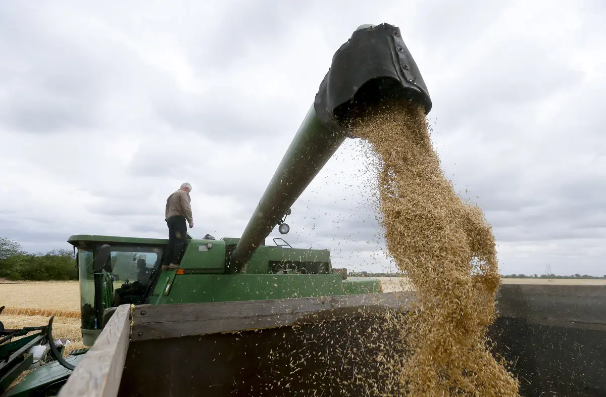 Szlovákia meglépte: betiltják az olcsó ukrán gabona feldolgozását és forgalmazását