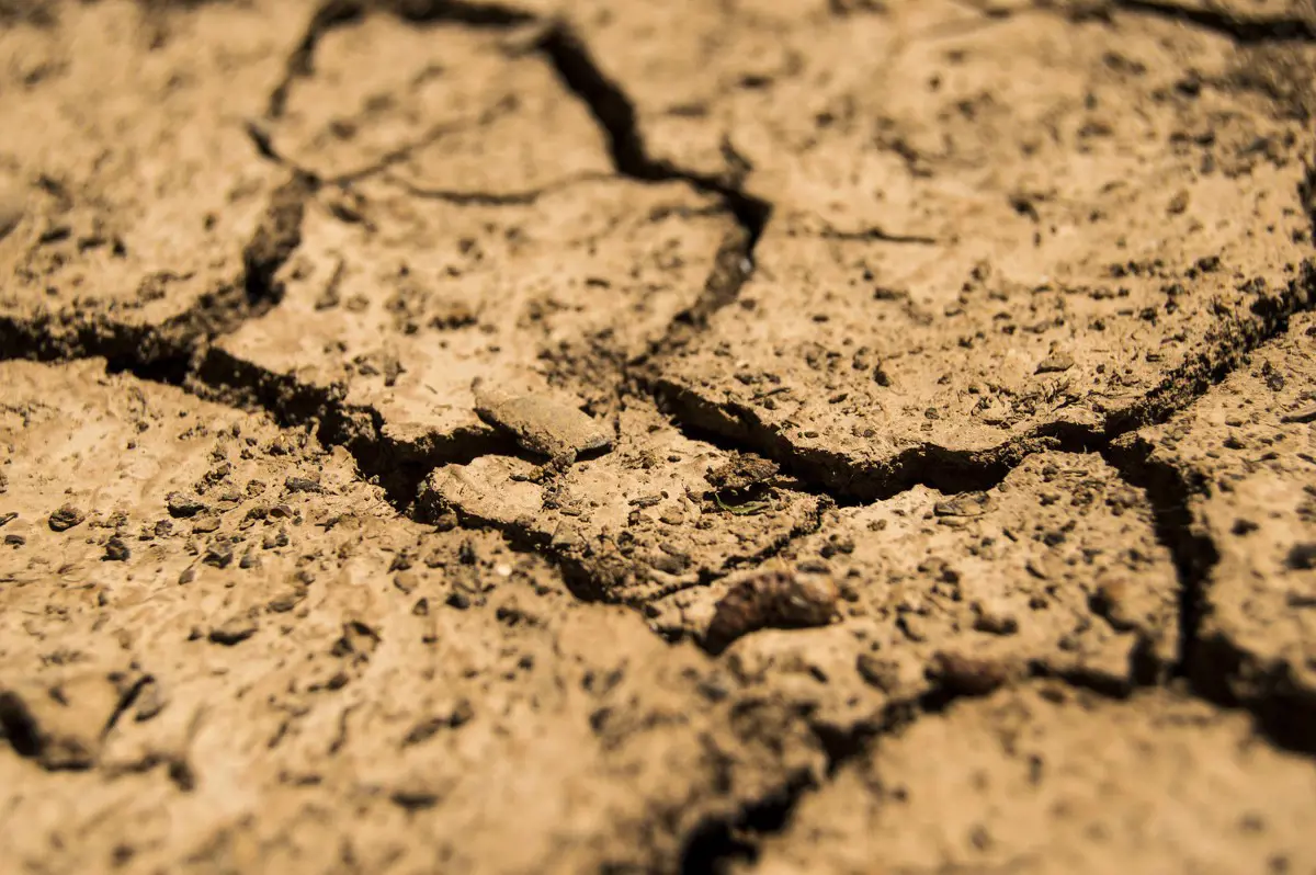 Az OMSZ Időjárás-előrejelző Osztályának vezetője a szárazságról: akárhogy is, a helyzet elég ijesztő