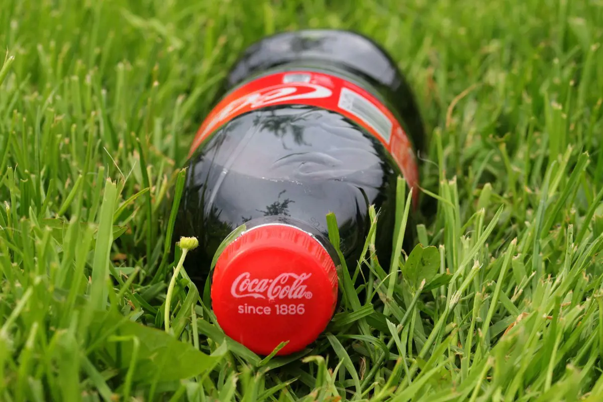 Nyáron várható a Coca-Cola papírpalackos üdítője