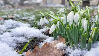 A hét közepén már-már tavasz lesz, de…