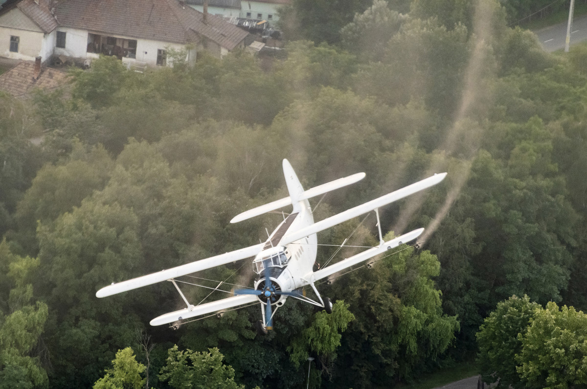 Tizenhárom megyében és a fővárosban is lesz szúnyoggyérítés