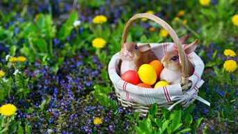 Nézze csak, milyen idő lesz húsvétkor!