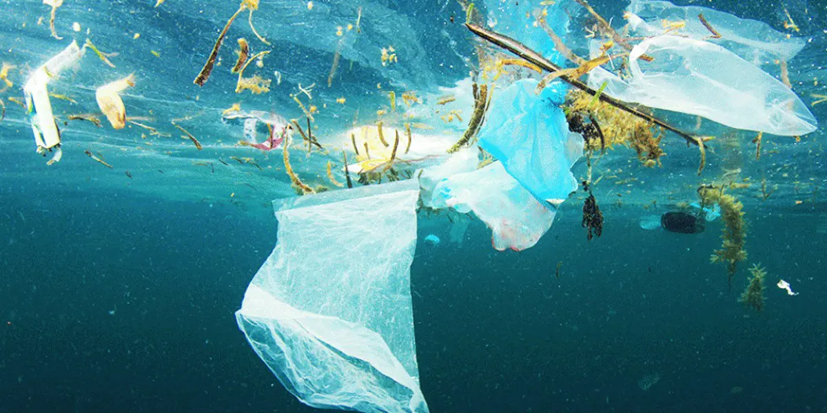 Annyira tele vannak műanyaggal az óceánok, hogy már „műanyagkéreg” képződik a partok mentén