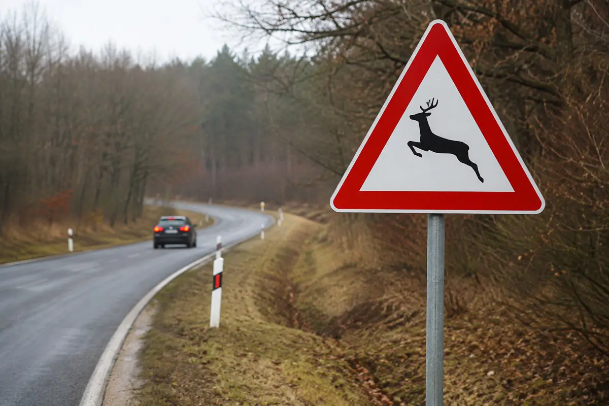 Tuning, vadkár, abnormális állapotok – az autósokból is patás ördögöt csinált a Fidesz