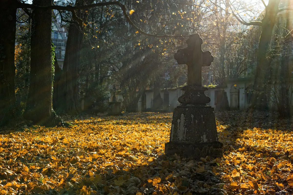 Halottak napja: így lehet közlekedni a fővárosi temetők környékén