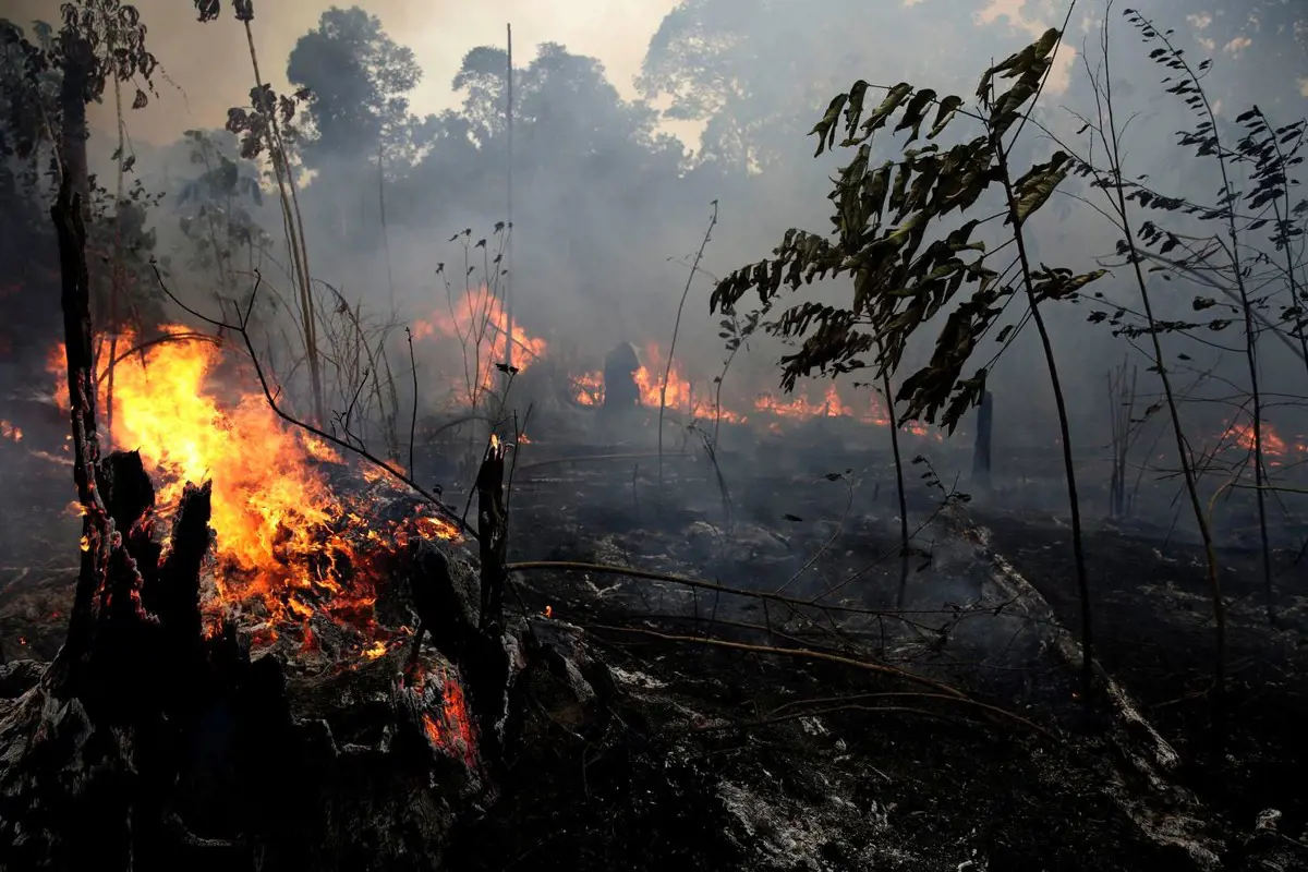 Kétszer több erdőtűz volt az amazóniai esőerdőkben októberben az egy évvel ezelőttihez képest