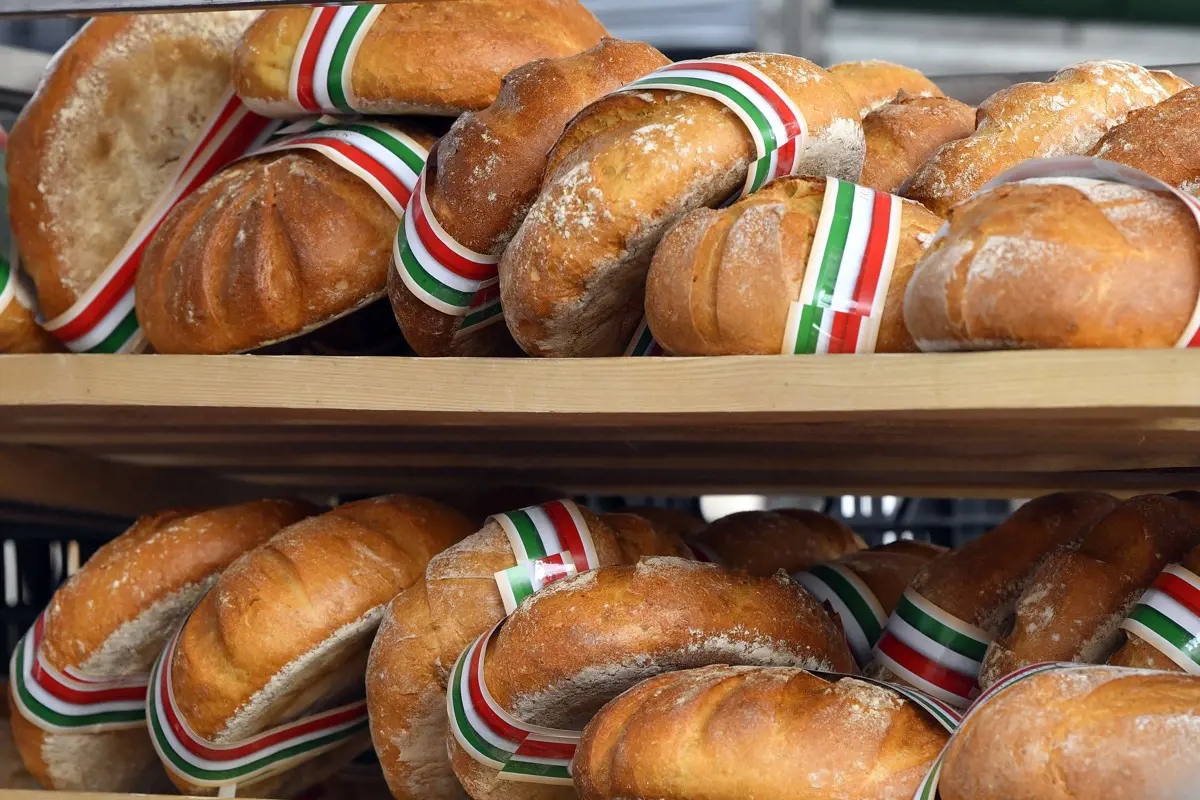 Egy év alatt több mint 38 százalékkal drágult a magyarok kenyere - lesz hatósági áras kenyér?