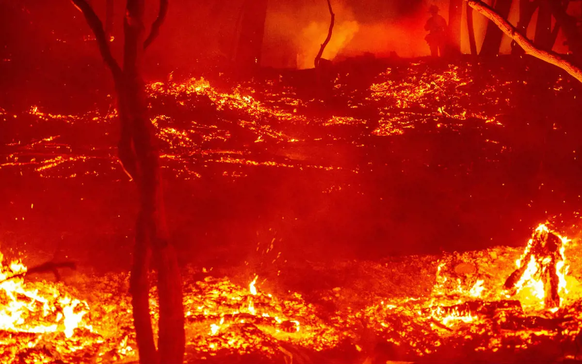 Már 4 millió hektárnyi terület égett le a Kalifornia államban tomboló erdőtüzekben