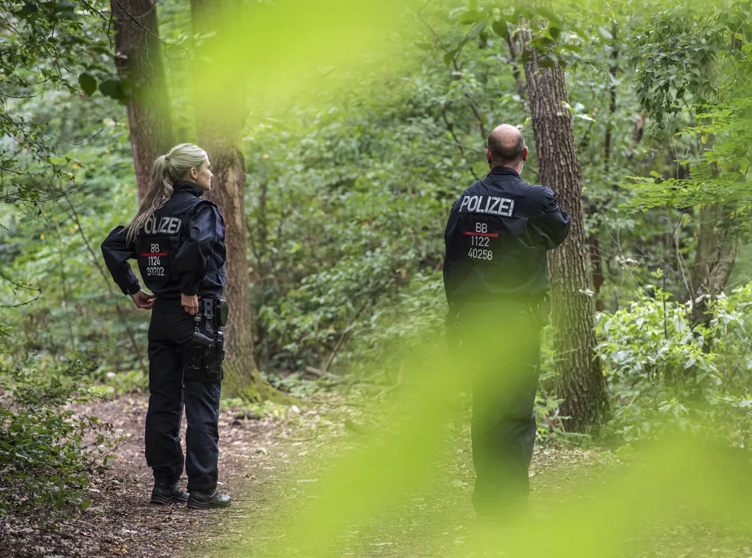 Vaddisznót néztek be kóborló oroszlánnak a német rendőrség szerint