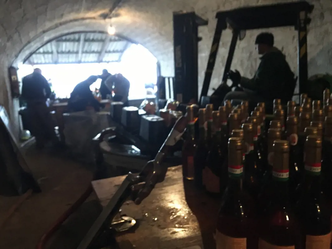 A Tokaji borok pusztítása sajnálatos, a 450 ezer mázsa szőlő megsemmisítése sikeres volt a kormány szerint