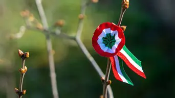 Március 15., az ÖNF napja