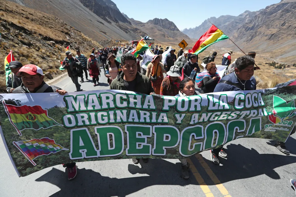 Több mint 15 ezer tiltakozó kokatermesztő vonul a hegyeken át Bolívia fővárosa felé