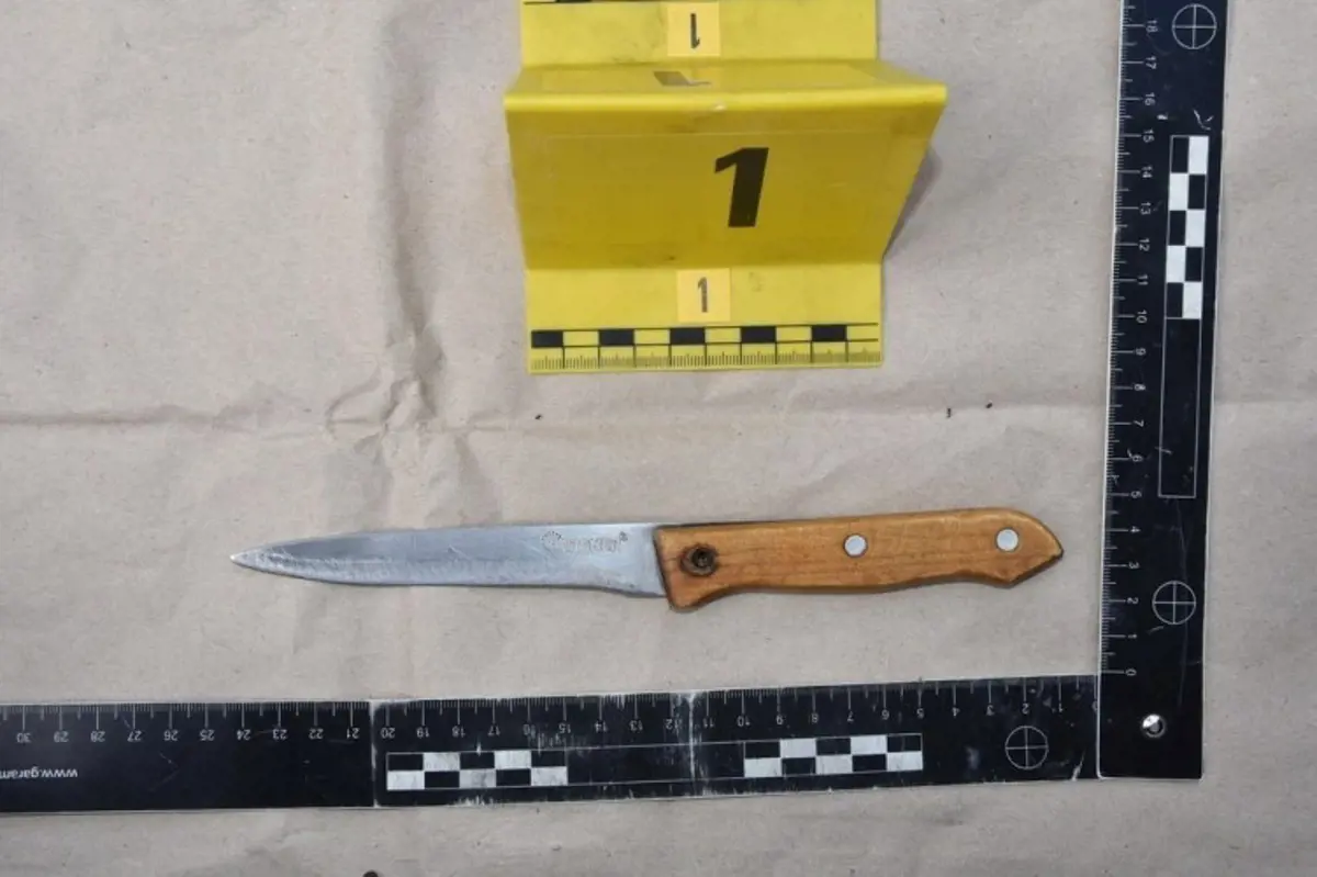 Késsel akart kirabolni egy veszprémi boltot egy ukrán