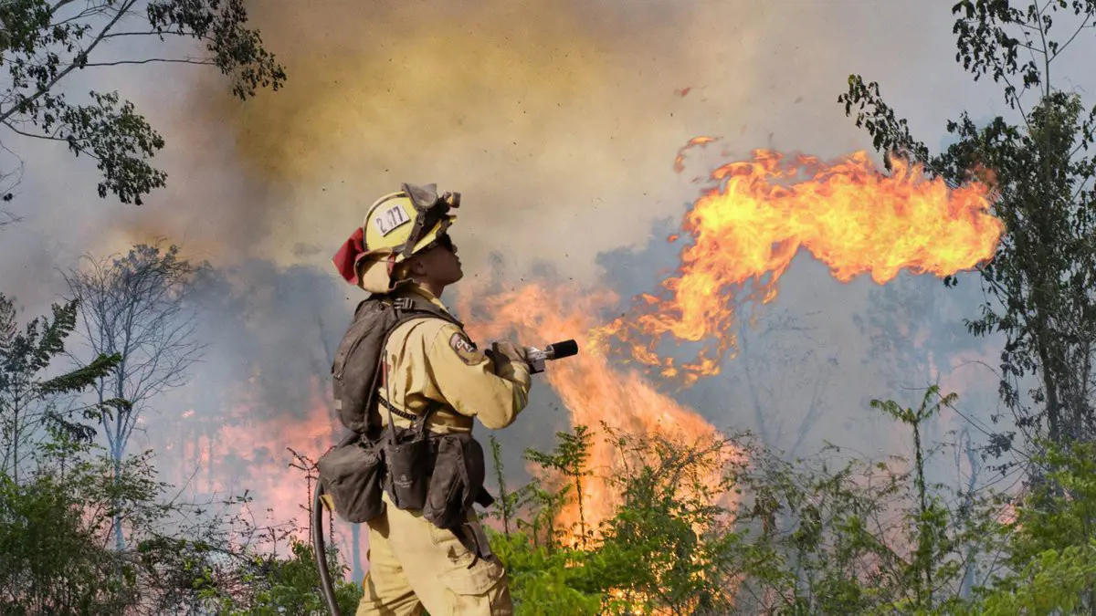 Magyar tűzoltók sietnek a lángoló brazil esőerdők segítségére