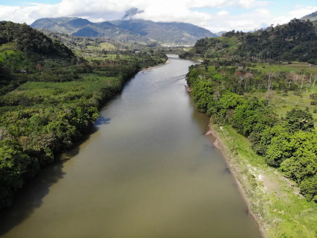 A brazil elnököt felidegesítette, hogy nyilvánosan közölték a világgal az Amazonas erdeinek elpusztítását