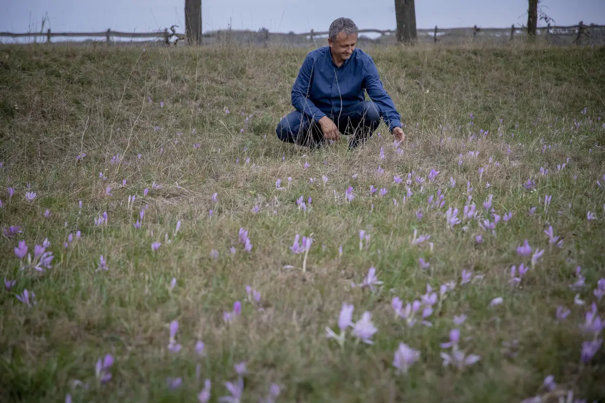 Adorján Béla: Újra magyar kézbe kell vennünk a magyar termőföldet!