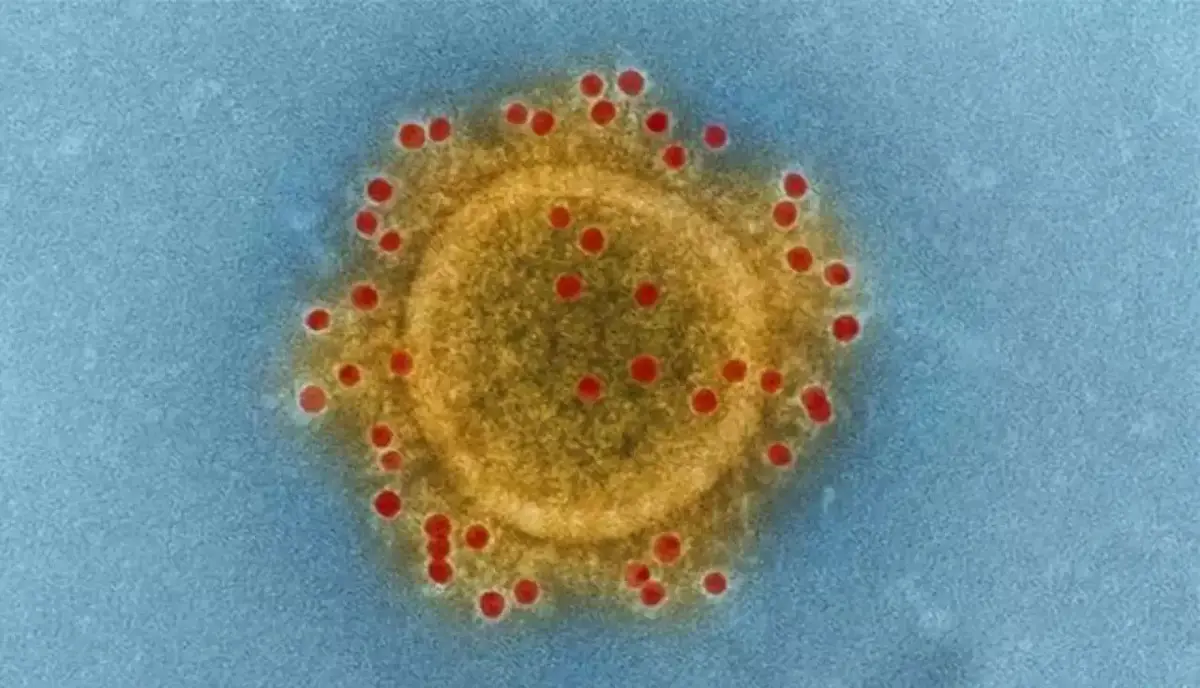 Már 132 halálos áldozata van a koronavírusnak